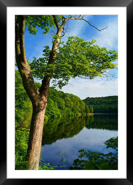 Damflask Reservoir Framed Mounted Print by Darren Galpin