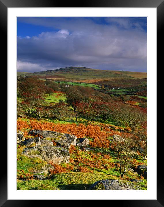 Great Mis Tor from Vixen Tor Framed Mounted Print by Darren Galpin
