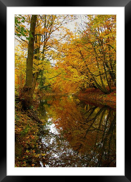 Autumn Colours,River Derwent,Matlock Framed Mounted Print by Darren Galpin