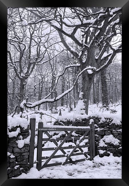 Entrance to Padley Gorge Framed Print by Darren Galpin