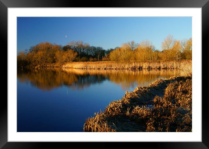 Denaby Ings Nature Reserve Framed Mounted Print by Darren Galpin