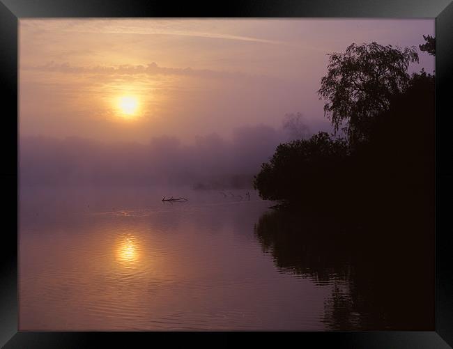Chard Reservoir Sunrise Framed Print by Darren Galpin