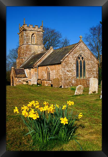 St Andrews Church & Daffodils, Burstock, Dorset Framed Print by Darren Galpin