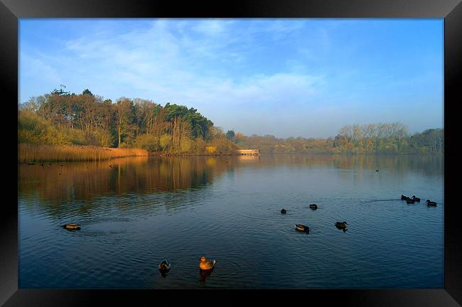 Chard Reservoir Framed Print by Darren Galpin