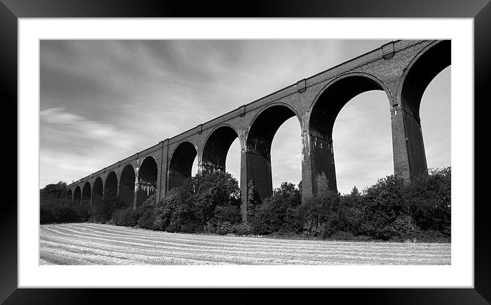Conisbrough Viaduct Framed Mounted Print by Darren Galpin