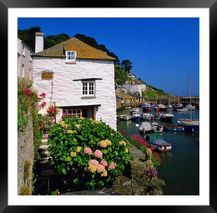 Old Watch House & Polperro Harbour Framed Mounted Print by Darren Galpin