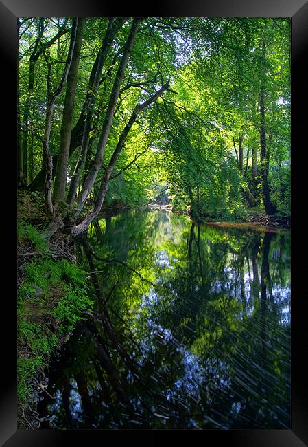 Beeley Wood & River Don in Sheffield Framed Print by Darren Galpin
