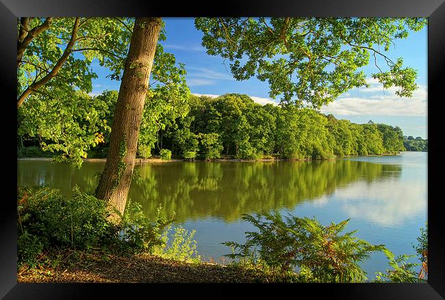 Chard Reservoir Framed Print by Darren Galpin