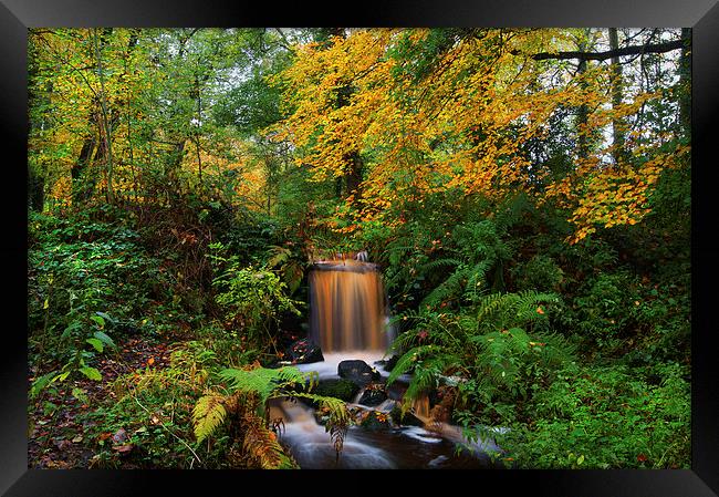 Upper Coppice Wheel, Rivelin Framed Print by Darren Galpin