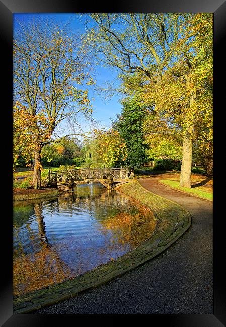 Weston Park Pond in Sheffield Framed Print by Darren Galpin
