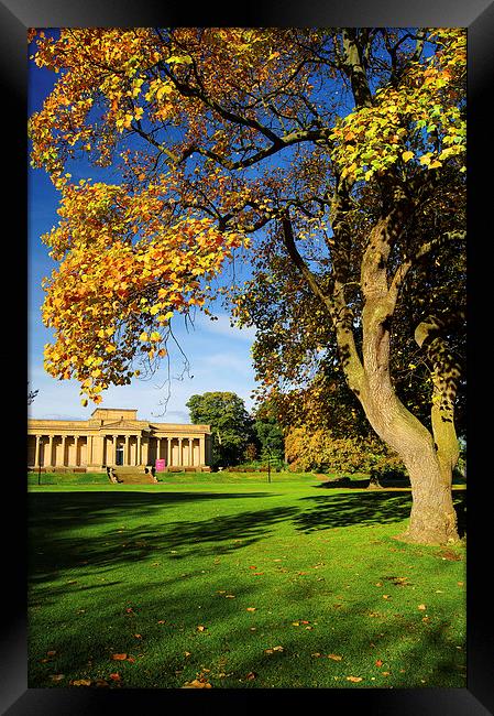 Weston Park Museum and Park Framed Print by Darren Galpin