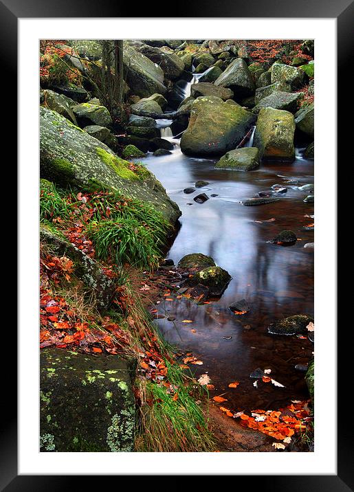 Autumn Colours in Padley Gorge Framed Mounted Print by Darren Galpin