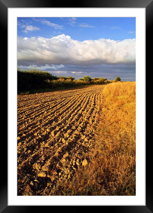 Ploughed Field Framed Mounted Print by Darren Galpin