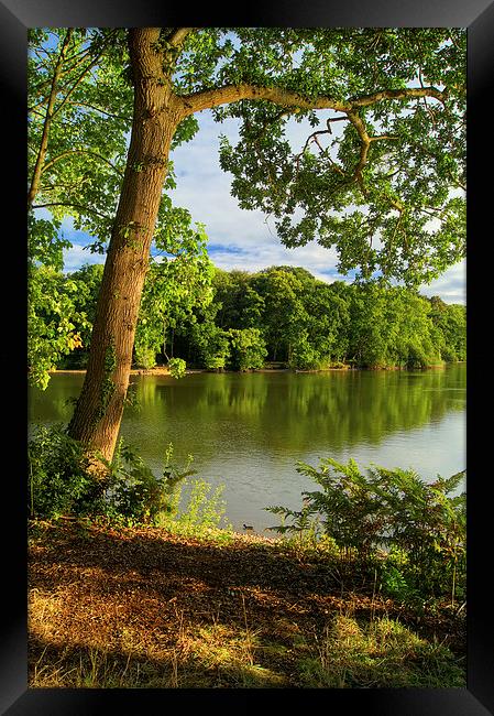 Chard Reservoir Summer Reflections Framed Print by Darren Galpin