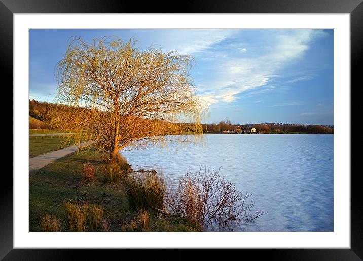 Rother Valley Country Park Framed Mounted Print by Darren Galpin