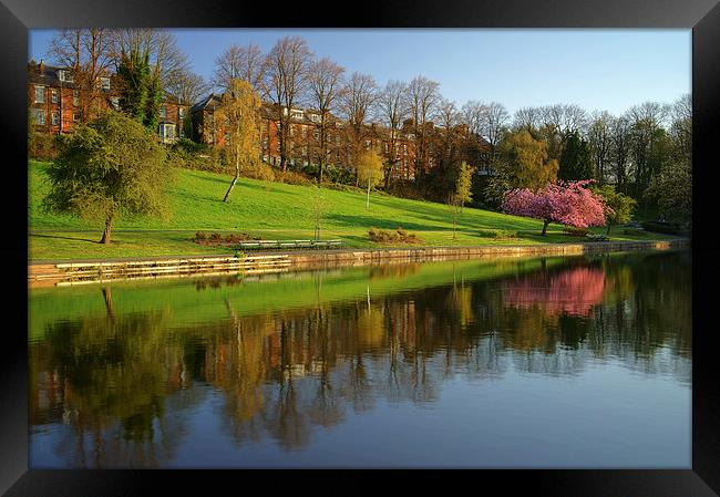 Crookes Valley Park Reflections Framed Print by Darren Galpin