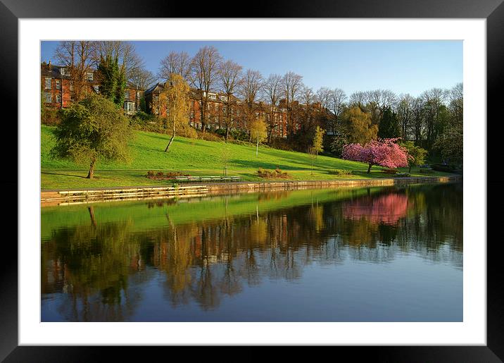 Crookes Valley Park Reflections Framed Mounted Print by Darren Galpin