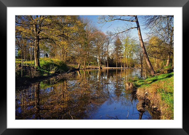 Graves Park Pond Framed Mounted Print by Darren Galpin