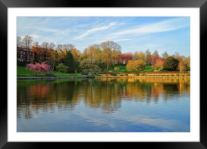 Crookes Valley Park, Sheffield Framed Mounted Print by Darren Galpin