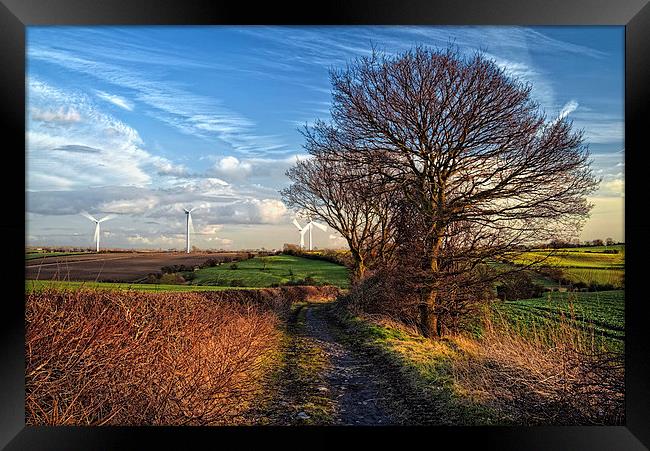 Pathway to Penny Hill Framed Print by Darren Galpin