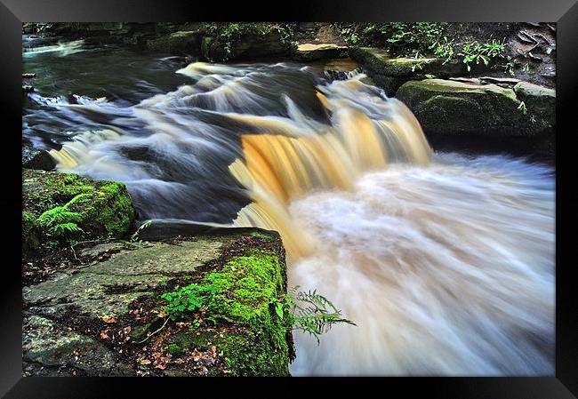 Rivelin Falls in Summer Framed Print by Darren Galpin