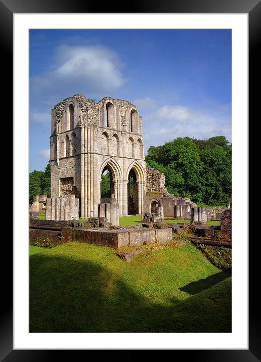 Roche Abbey Ruins 2 Framed Mounted Print by Darren Galpin