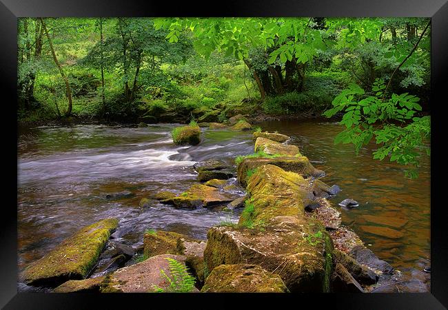 River Derwent Stepping Stones  Framed Print by Darren Galpin