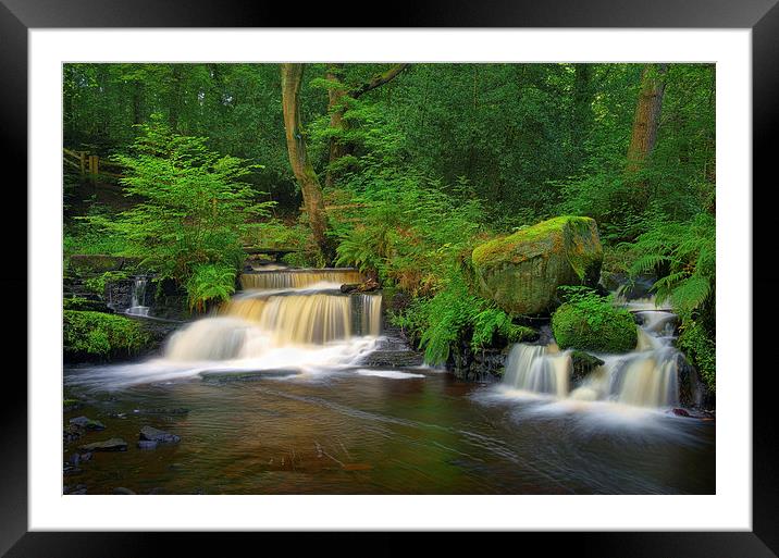 Third Coppice Weir, Rivelin  Framed Mounted Print by Darren Galpin