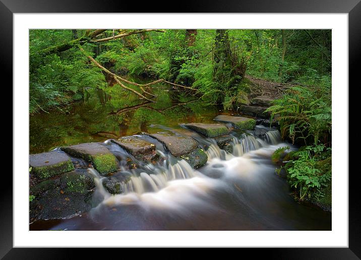 Third Coppice Stepping Stones, Rivelin  Framed Mounted Print by Darren Galpin