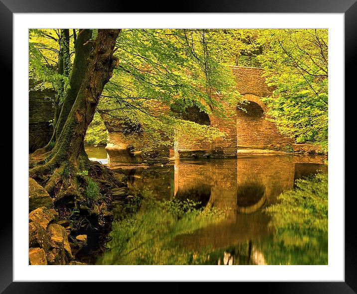 River Plym at Plymbridge Framed Mounted Print by Darren Galpin
