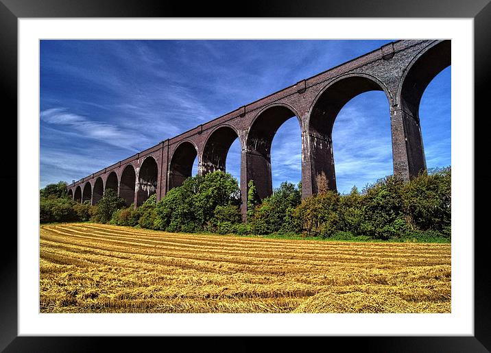 Conisbrough Viaduct  Framed Mounted Print by Darren Galpin