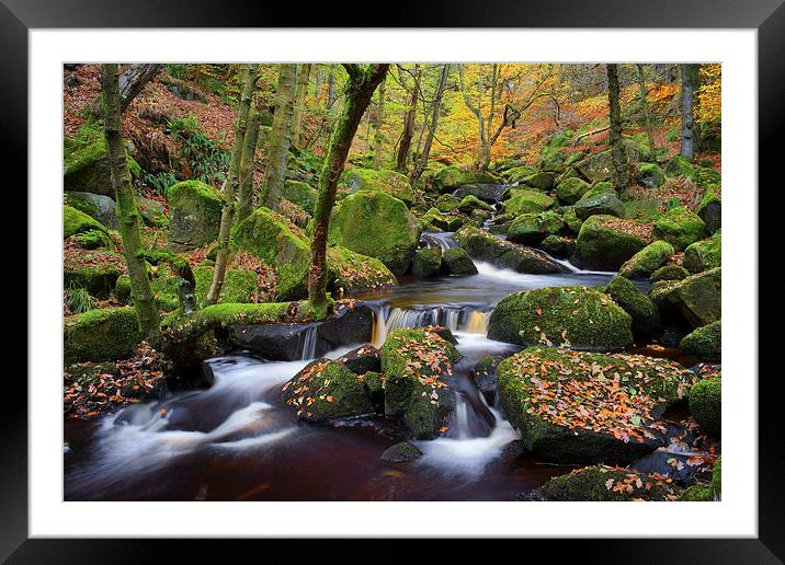 Padley Gorge  Framed Mounted Print by Darren Galpin