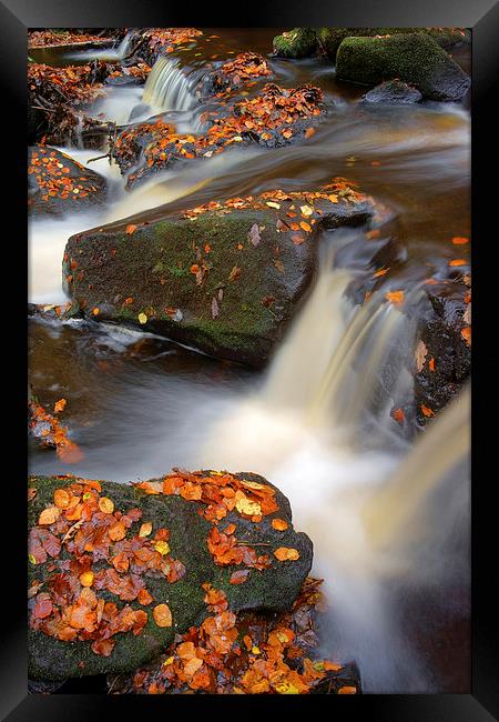 On the Rocks in Padley Gorge  Framed Print by Darren Galpin