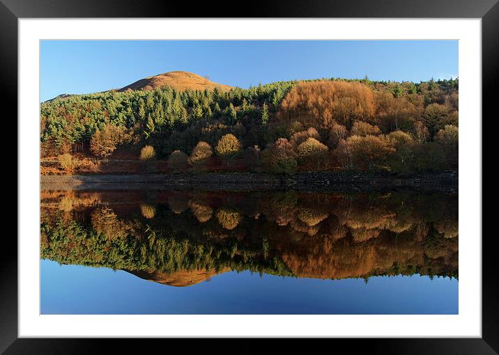 Ladybower Reflections  Framed Mounted Print by Darren Galpin