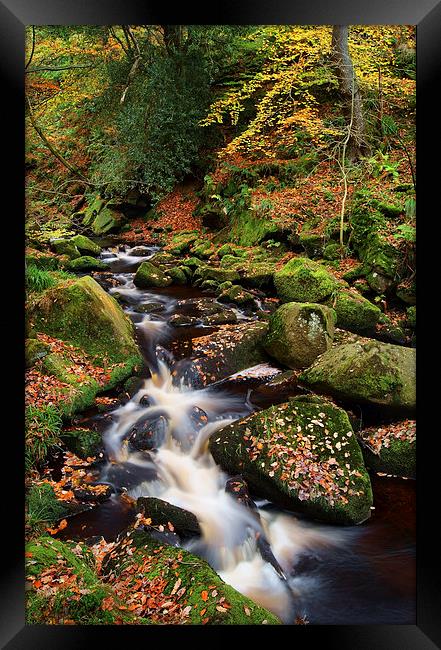 Padley Gorge Autumn Colours 2  Framed Print by Darren Galpin