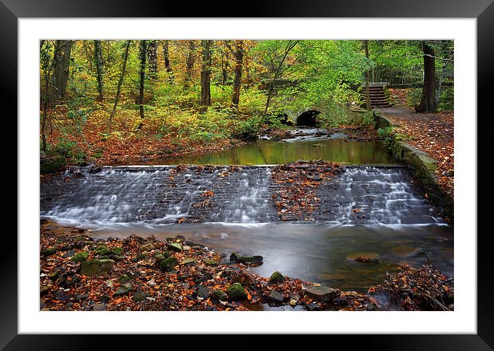 Porter Brook in Autumn Framed Mounted Print by Darren Galpin