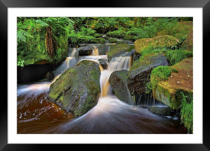 Wyming Brook Falls in Summer  Framed Mounted Print by Darren Galpin