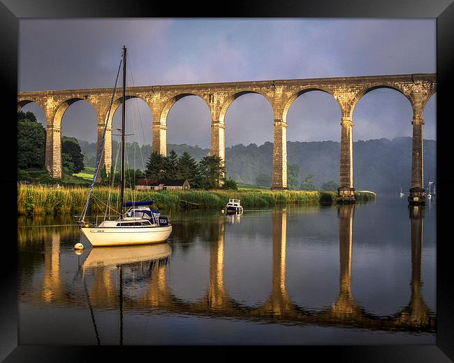 Calstock Viaduct and River Tamar Reflections Framed Print by Darren Galpin