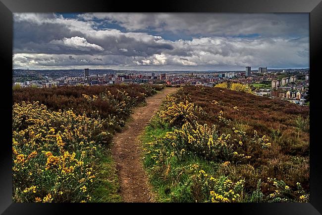 Parkwood Springs View over Sheffield  Framed Print by Darren Galpin