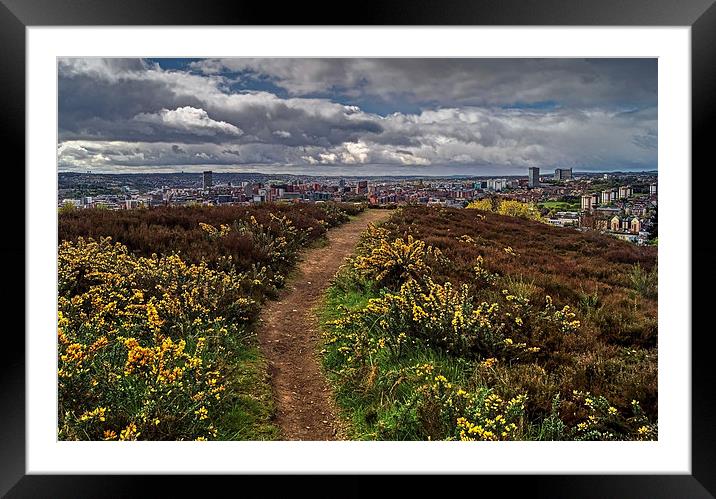 Parkwood Springs View over Sheffield  Framed Mounted Print by Darren Galpin