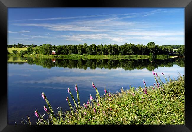 Ulley Country Park Framed Print by Darren Galpin