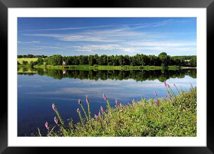 Ulley Country Park Framed Mounted Print by Darren Galpin