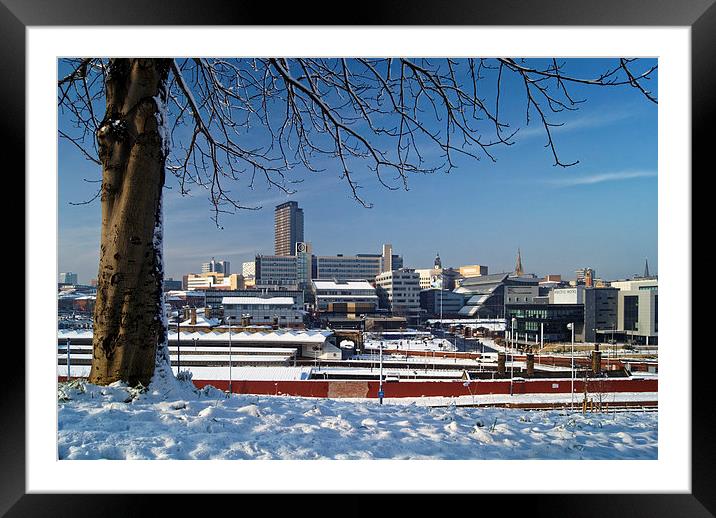Sheffield City Centre viewed from Park Hill  Framed Mounted Print by Darren Galpin