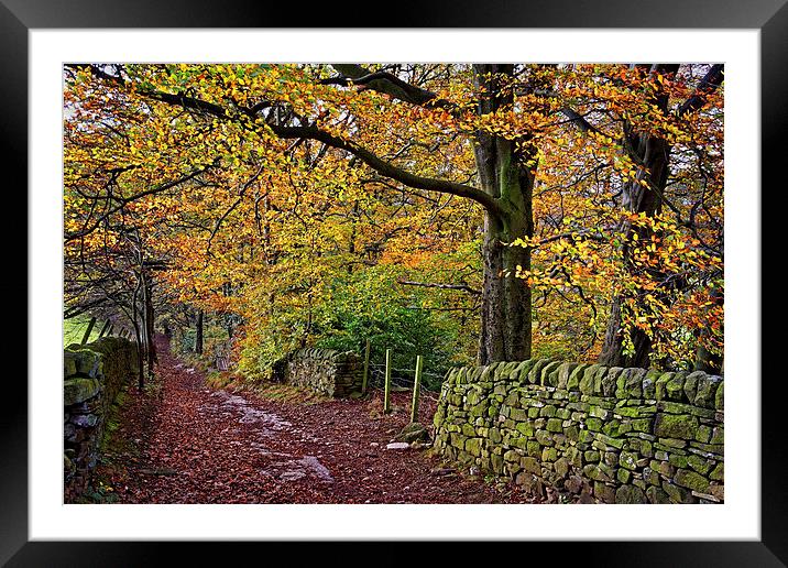 Bamford Path in Autumn  Framed Mounted Print by Darren Galpin