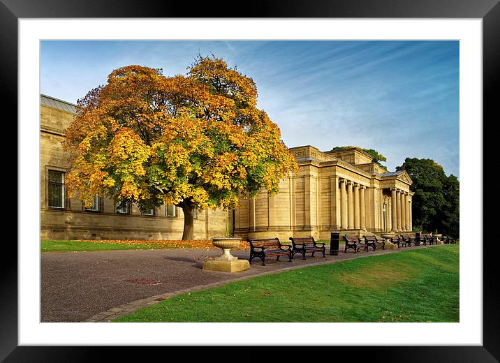 Weston Park Museum in Autumn Framed Mounted Print by Darren Galpin
