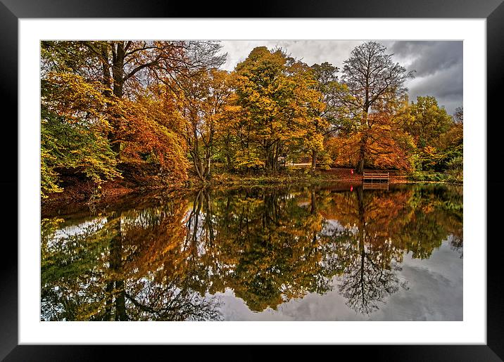 Lumsdale Autumn Reflections  Framed Mounted Print by Darren Galpin