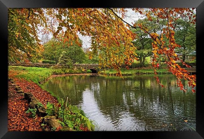 Oaksedge Lane Bridge and Bentley Brook Mill Pond  Framed Print by Darren Galpin