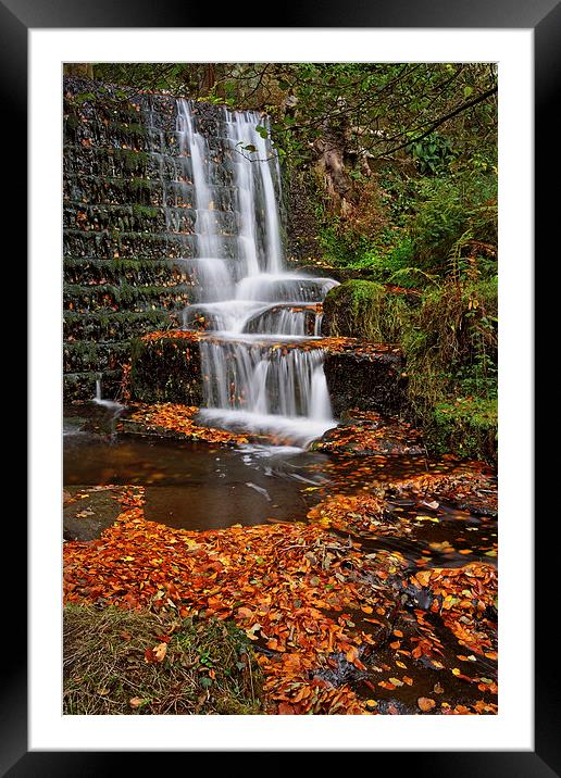 Lumsdale Autumn Leaves and Falls  Framed Mounted Print by Darren Galpin