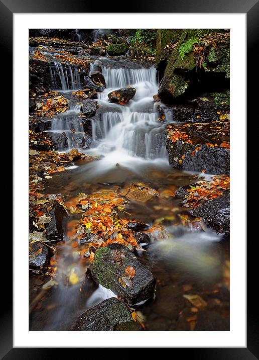 Lumsdale Waterfalls with Autumn Leaves  Framed Mounted Print by Darren Galpin