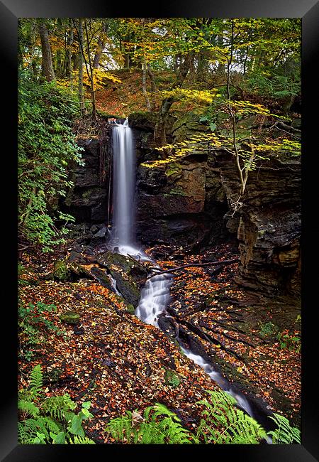 Cascading Falls in Lumsdale  Framed Print by Darren Galpin